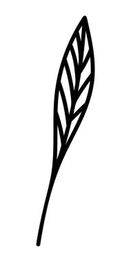 VECTOR 'DA BİR BEYAZ KAPALINDA SİLTİRİLMEK