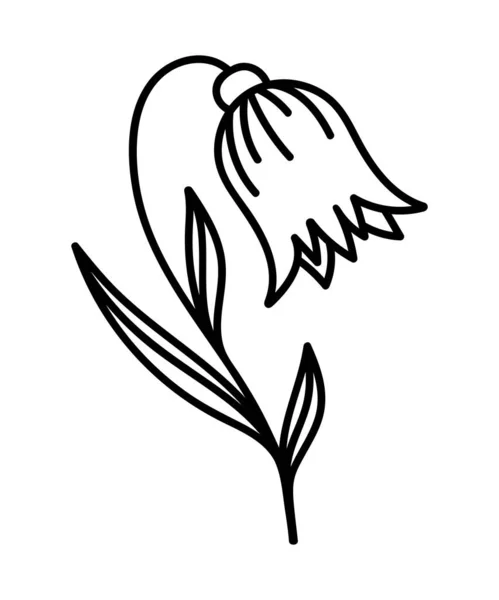 Fiore Campanello Fronte Bianco Nel Vettore — Vettoriale Stock