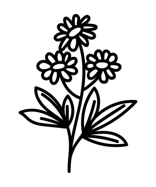 Красивый Цветок Белой Спине Векторе Vector — стоковый вектор