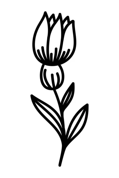 Schöne Blumen Auf Einem Weißen Hintergrund Vektor — Stockvektor