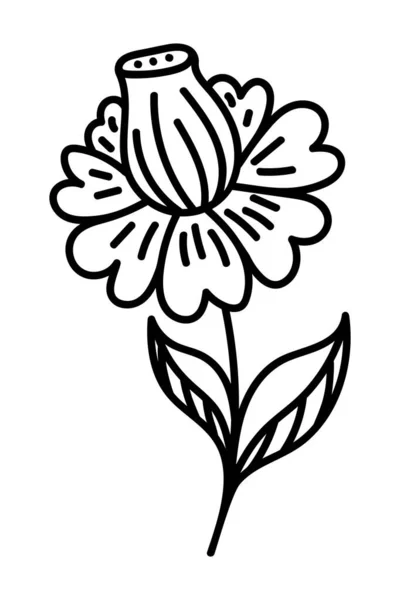 Schöne Blumen Auf Einem Weißen Hintergrund Vektor — Stockvektor