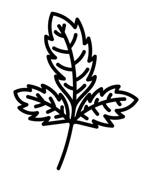 Stylized Leaf Auf Einem Weißen Hintergrund Vektor — Stockvektor