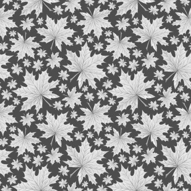 Akçaağaç yapraklı pürüzsüz ezme Gri bir sırt üzerinde bırakır.