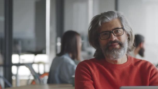 Senor Ősz Hajú Üzletember Portréja Szemüvegben Alkalmi Ruhákban Amint Munkahelyén — Stock videók