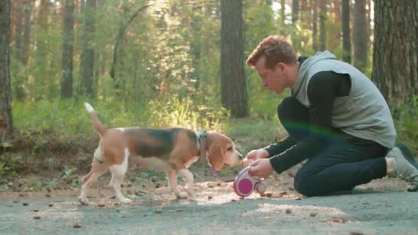 Young Man Training Petting Cute Beagle Dog Outdoors Park Walk — Stock Video