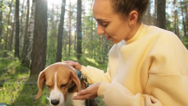 Close Shot Młodej Wesołej Kobiety Pieszczoty Uroczy Pies Beagle Uśmiecha — Wideo stockowe