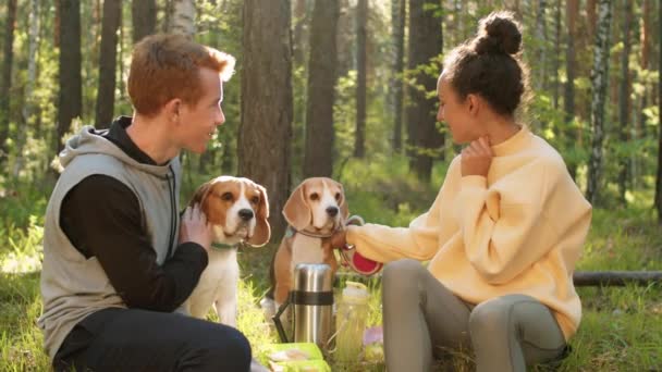 Pareja Joven Hablando Acariciando Dos Adorables Perros Beagle Luego Mirando — Vídeos de Stock