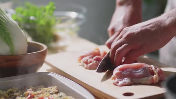 Primer Plano Comida Caliente Plato Las Manos Chef Masculino Cortar — Vídeos de Stock