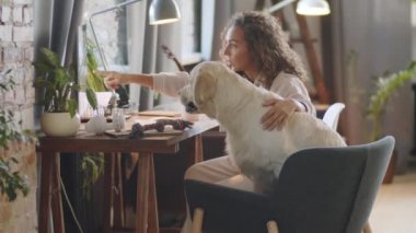 Tatlı Golden Retriever 'la masada oturan genç ve güzel bir kadın, bir şeyi işaret ediyor, konuşuyor ve köpeğe ödül veriyor.