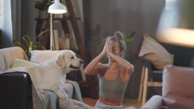 Golden Retriever köpeğinin genç bayan sahibinin yoga çalışmasını böldüğü sahneyi çekiyoruz.