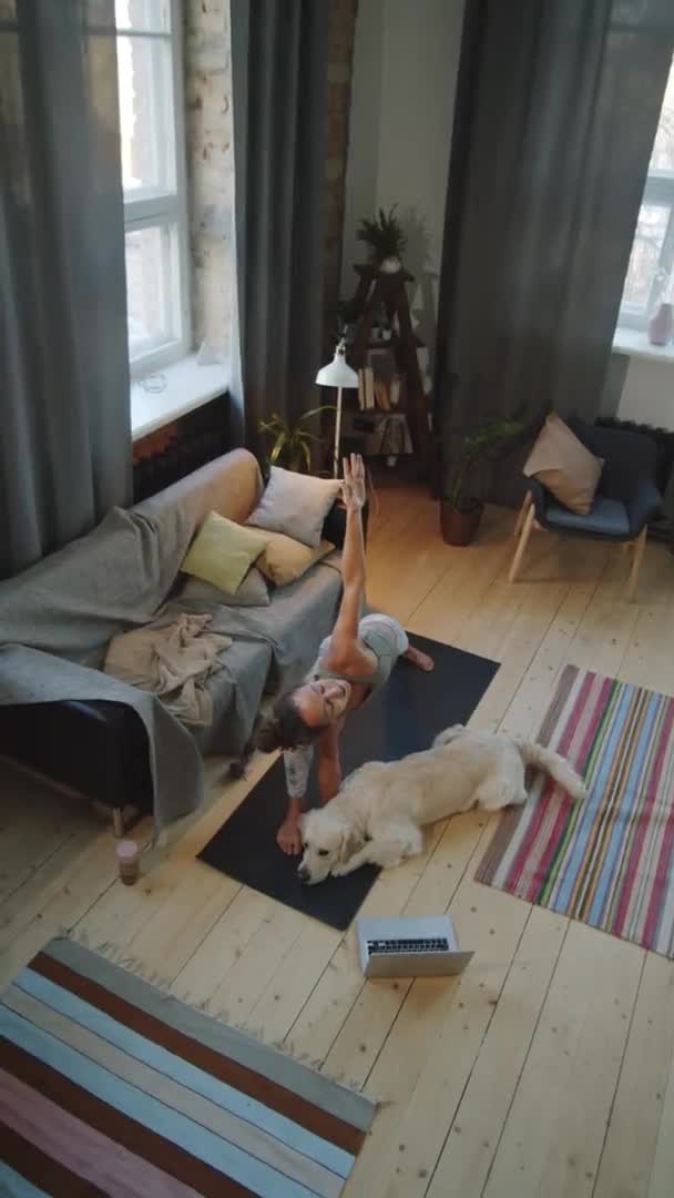 在家庭练习赛中 穿着运动服的年轻女子站在伸展的侧角姿势 而狗躺在她旁边的瑜伽垫上的高视角图像 — 图库视频影像