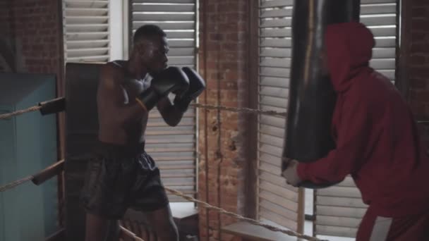 Joelho Tiro Pugilista Preto Jovem Com Tronco Shorts Luvas Com — Vídeo de Stock