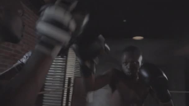 Média Foto Portátil Boxeador Africano Jovem Profissional Luvas Treinador Com — Vídeo de Stock