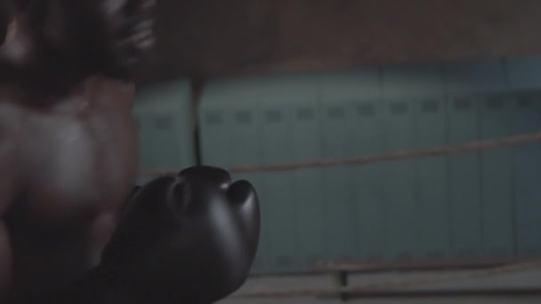 Зброю Молодого Афроамериканського Боксера Шортах Голим Тулубом Рукавичками Шалено Ють — стокове відео