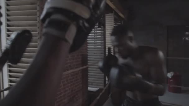 Cintura Tiro Muscular Jovem Boxeador Afro Americano Com Tronco Luvas — Vídeo de Stock