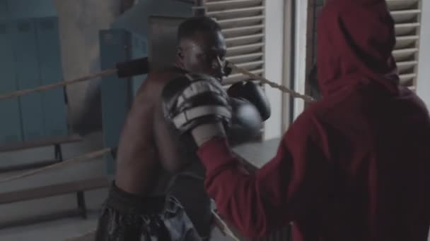 Знімок Атлетичного Афроамериканського Боксера Голою Груддю Рукавички Практикують Перехресні Удари — стокове відео