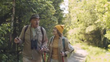 Yaşlı çift ulusal parkta yürüyüş direkleri ile yürüyor, güneşli yaz gününde yürüyüş yaparken gülümsüyor ve sohbet ediyorlar.