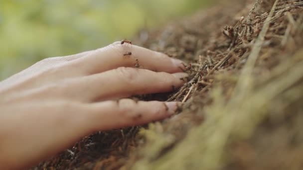 Close Colpo Messa Fuoco Selettiva Della Mano Donna Irriconoscibile Toccare — Video Stock