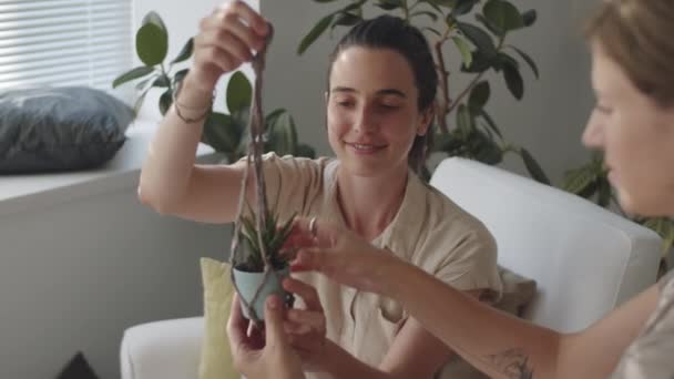 Two Young Cheerful Women Putting Flowerpot Handmade Macrame Plant Hanger — Stock Video