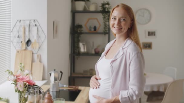 Cintura Hacia Arriba Tiro Mujer Embarazada Alegre Cogida Mano Vientre — Vídeos de Stock