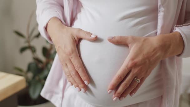 Primo Piano Colpo Donna Incinta Irriconoscibile Che Tiene Mani Sulla — Video Stock