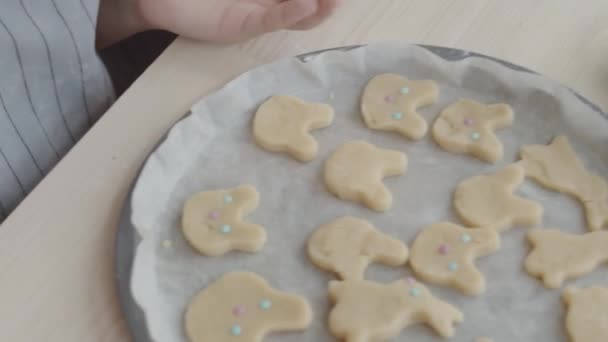 Tilt Aufnahme Von Kleinen Mädchen Schürze Schmücken Niedliche Hasenkekse Mit — Stockvideo