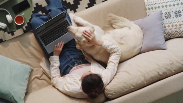 Tiro Ângulo Alto Mulher Sentada Sofá Casa Usando Laptop Acariciando — Vídeo de Stock