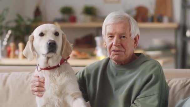 Portrét Šťastného Seniora Sedícího Roztomilým Zlatým Retrívrem Psa Gauči Doma — Stock video