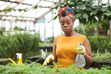 Bitkileri önemseyen kadın.