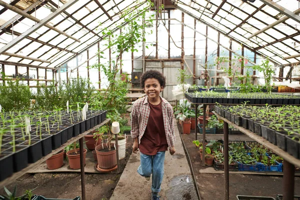 Liten pojke i växthus — Stockfoto