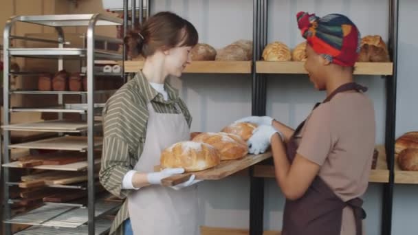 陽気な白人女性持参トレイで焼きたてのパンとチャット黒女性同僚と彼女として彼女はパン屋で販売のための木製ディスプレイラックに負荷を置く — ストック動画