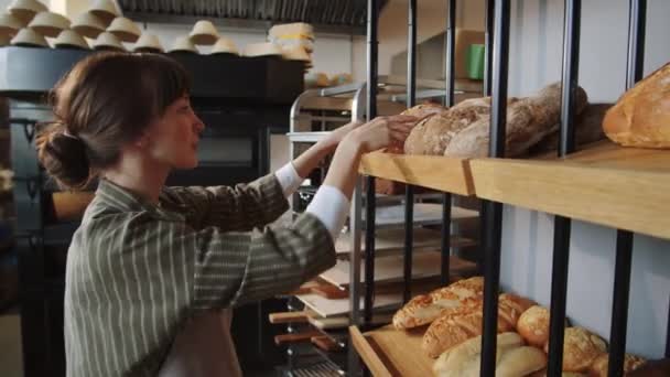 Young Caucasian Woman Apron Putting Freshly Baked Loafs Bread Shelves — Stock Video