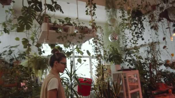 熱帯植物を調べ鏡の中に映る彼女の姿を見ながら家の庭を歩いている若い白人女性の — ストック動画