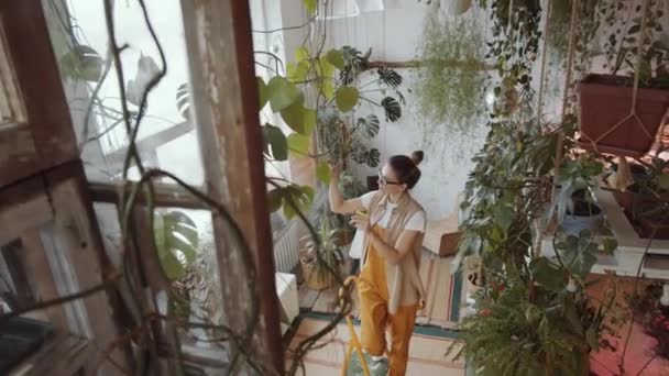 High Angle View Young Woman Standing Stepladder Misting Plant Leaves — Stock Video