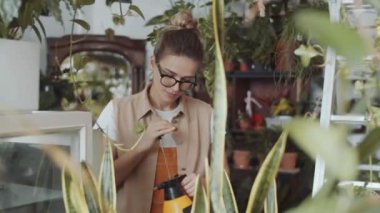 Çiçekçide bitkileri sıkarken su şişesini pompayla kullanan günlük giysiler ve bardaklar içindeki beyaz kadın çiçekçi.