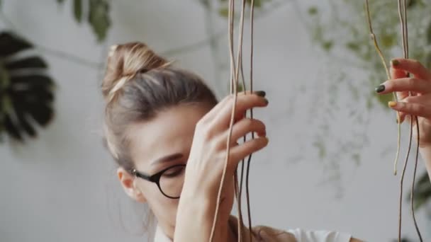 Jonge Mooie Blanke Vrouw Bril Onderzoeken Lange Bungelende Luchtwortels Van — Stockvideo