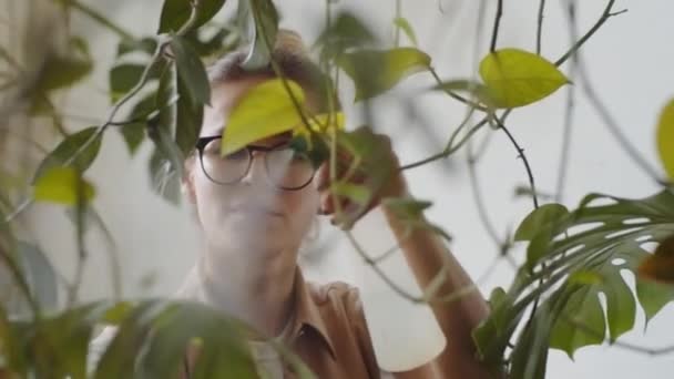 Mooie Vrouwelijke Bloemist Glazen Sproeien Water Mostera Bladeren Tijdens Het — Stockvideo