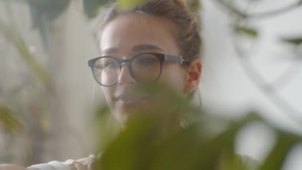 Linda Florista Feminina Óculos Sorrindo Misting Mostera Folhas Com Água — Vídeo de Stock