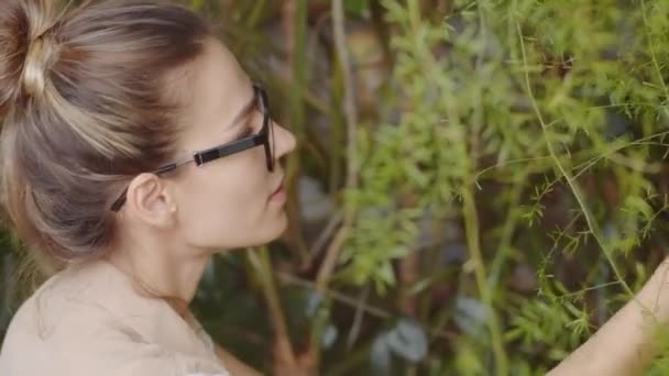 Jonge Vrouwelijke Bloemist Controleren Bladeren Van Verschillende Tropische Planten Tijdens — Stockvideo