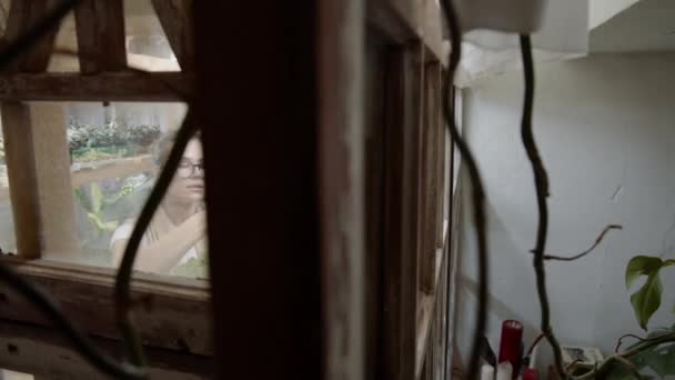 Arc Shot Young Woman Removing Leaves Houseplants Shelve While Working — Stock Video