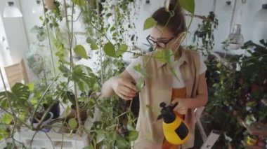 Genç bayan çiçekçinin merdivende dikilip çiçekçide çalışırken bitkilerin yapraklarını suyla ıslattığı yüksek açılı bir çekim.