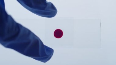 Steril eldivenli laboratuvar çalışanının ellerinin üst görüntüsünü kapat. Mikroskop altında incelenmeye hazırlanırken cam kaydırağa kan damlatarak sürgüsünü yerleştir.