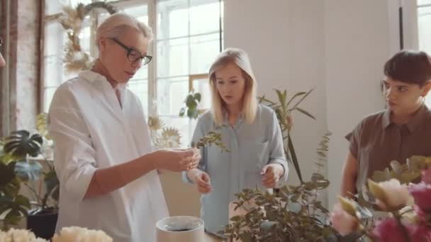 Масштабувати Кадрі Веселу Жінку Середнього Віку Яка Влаштовує Квіти Капелюшній — стокове відео