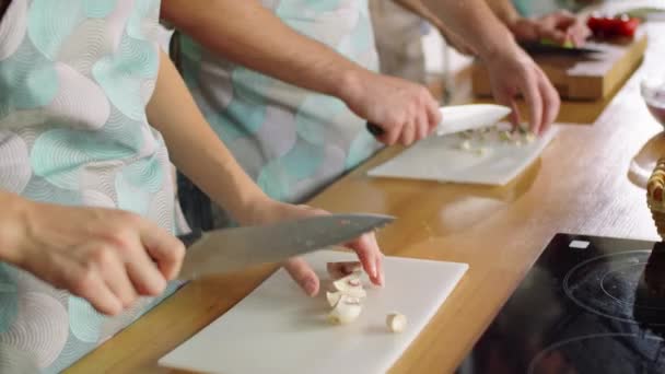Strzał Górę Zróżnicowanej Grupy Młodych Mężczyzn Kobiet Fartuchach Gotowania Wraz — Wideo stockowe