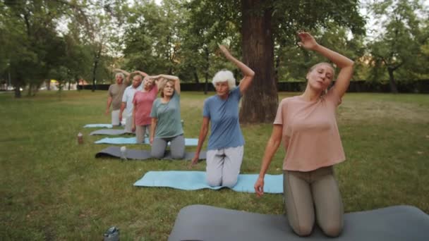 Kadın Yoga Öğretmeni Bir Grup Yaşlı Insan Yaz Günü Parkta — Stok video