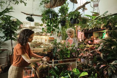 Botanik bahçesindeki insanlar