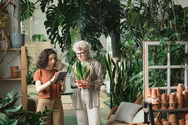 People examining the new kind of plant