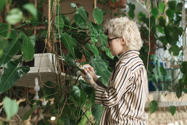 Женщина заботится о листьях растения — стоковое фото