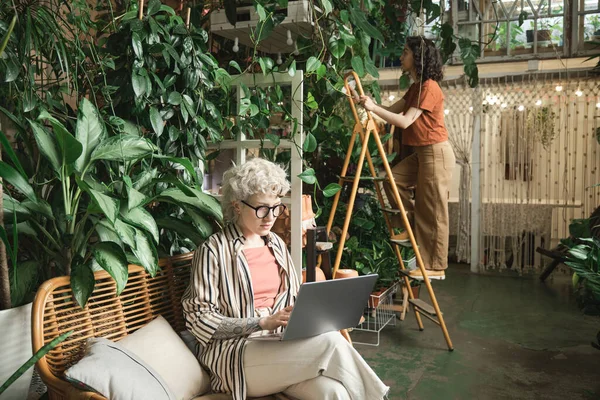 Женщина работает на ноутбуке в цветочном магазине — стоковое фото