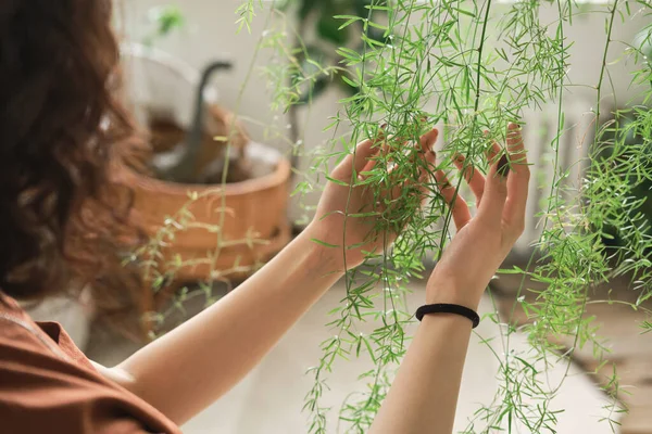 Vrouw die voor planten zorgt — Stockfoto